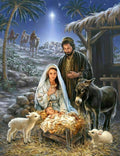 Savior is Born