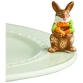 Funny Bunny